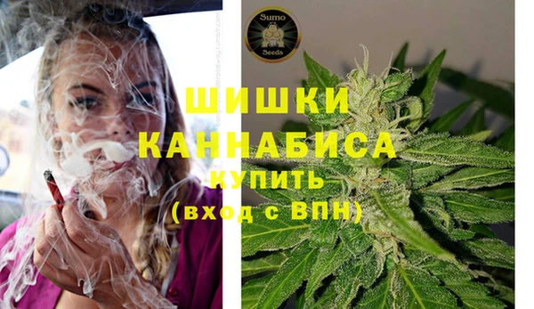 индика Долгопрудный