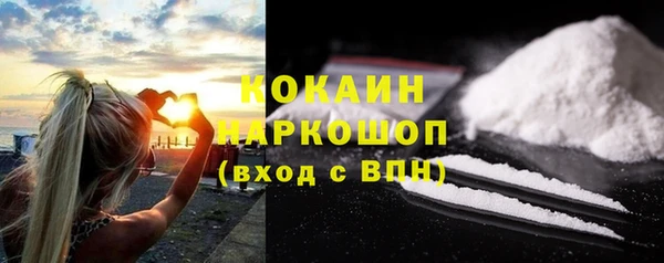индика Долгопрудный
