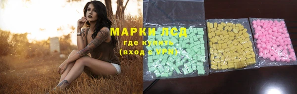 индика Долгопрудный