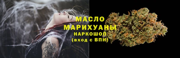 индика Долгопрудный