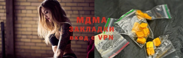 индика Долгопрудный