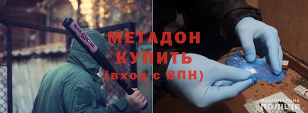 индика Долгопрудный
