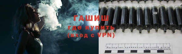 индика Долгопрудный