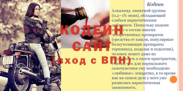 индика Долгопрудный
