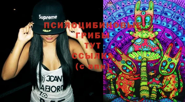 индика Долгопрудный