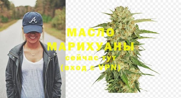 индика Долгопрудный