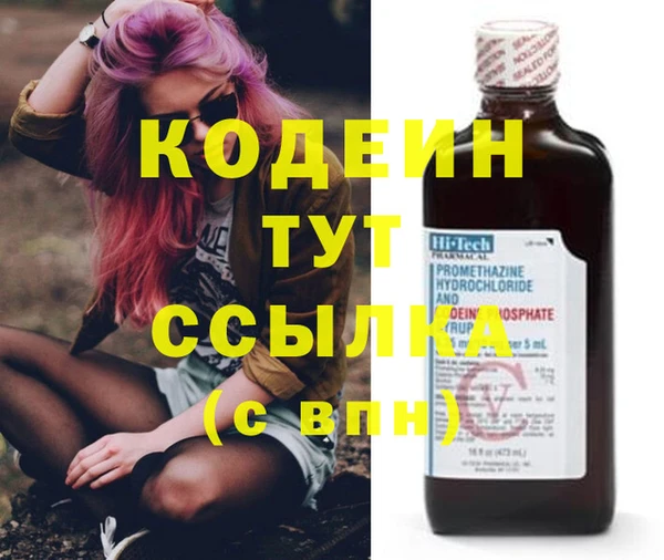 индика Долгопрудный