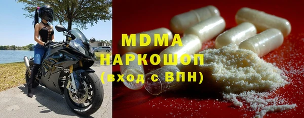 индика Долгопрудный
