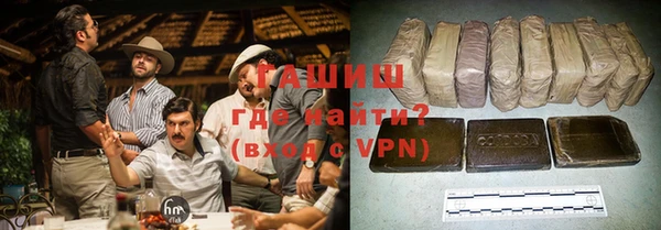 индика Долгопрудный