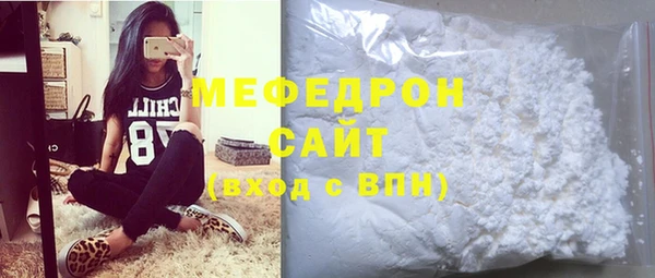 индика Долгопрудный