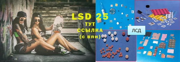 индика Долгопрудный