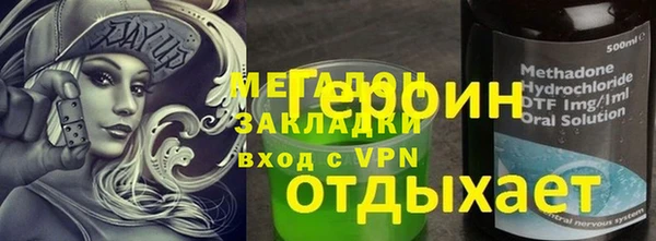 индика Долгопрудный