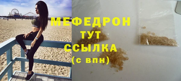 индика Долгопрудный