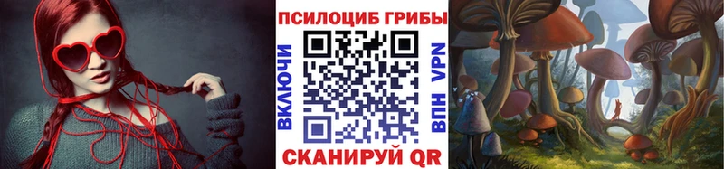 цены наркотик  Баксан  Псилоцибиновые грибы Psilocybine cubensis 