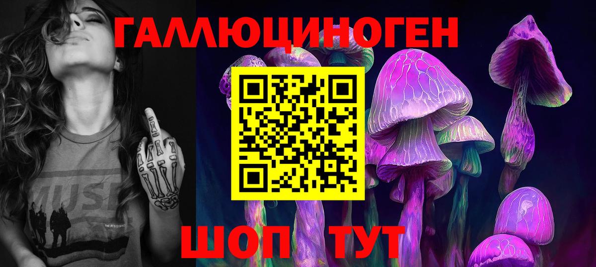 Баксан  Псилоцибиновые грибы мухоморы  где найти наркотики  Псилоцибиновые грибы Psilocybine cubensis  Вход с VPN 