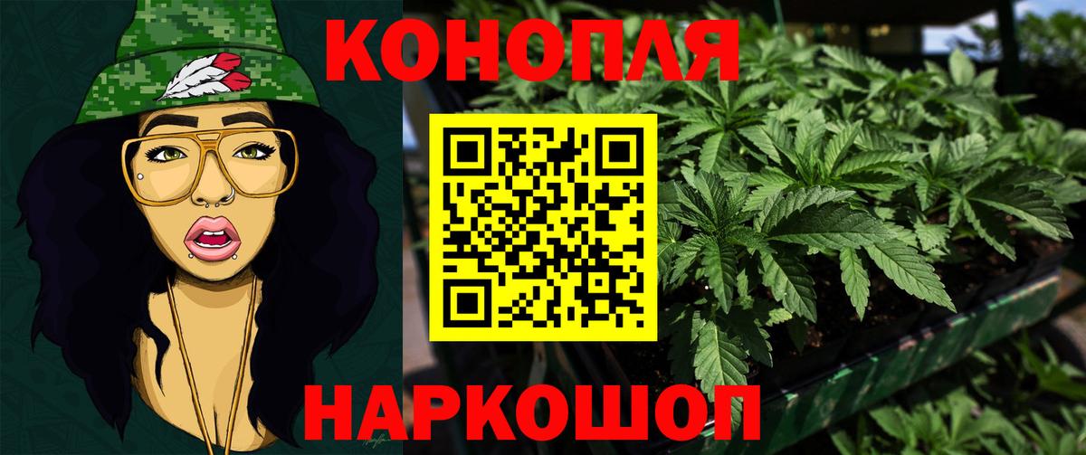 Марихуана сатива Баксан